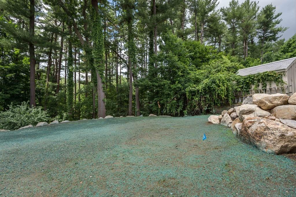 10 College Road Burlington, MA 01803 - Photo 6 of 37 a view of a big yard with plants and large trees
