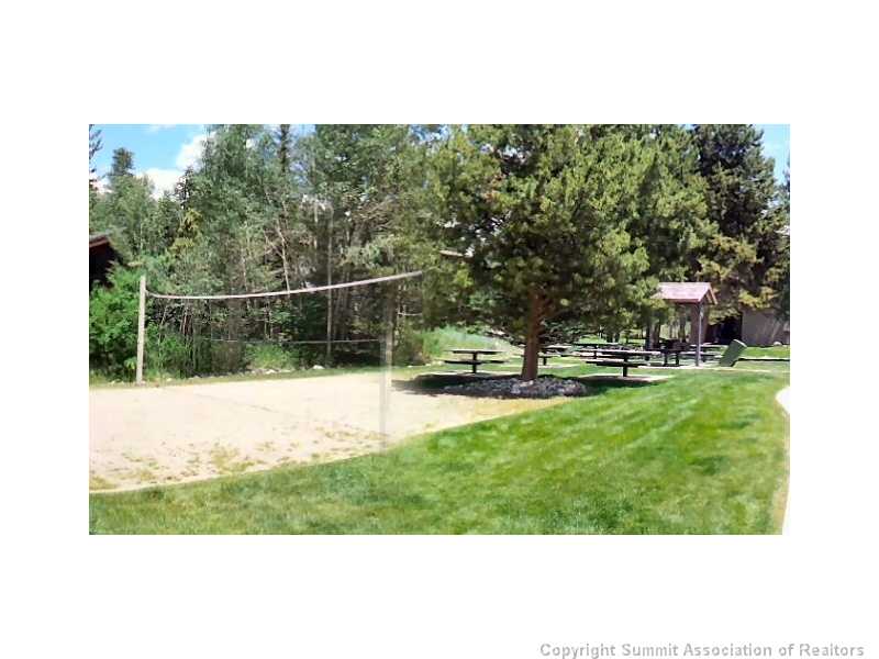 1937 Soda Ridge Road, Unit 1143 Keystone, CO 80435 - Photo 12 of 13 Yard/Garden.