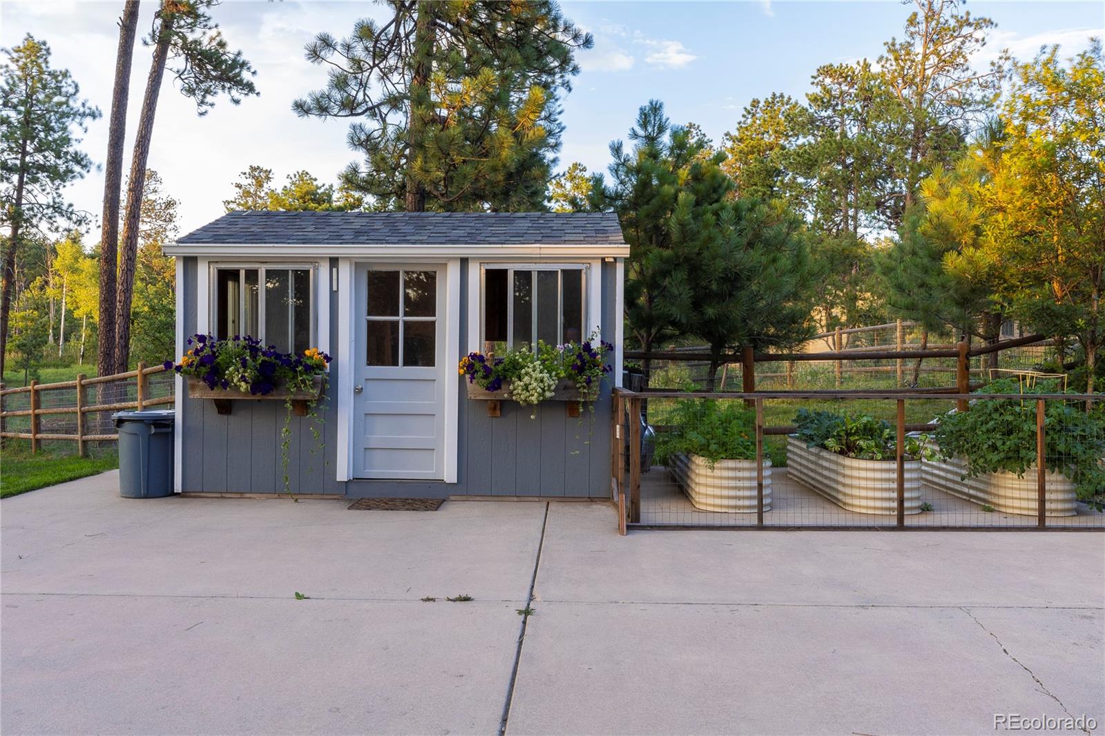 18975 Shadowood Drive Monument, CO 80132 - Photo 43 of 48 front view of a house with a garden
