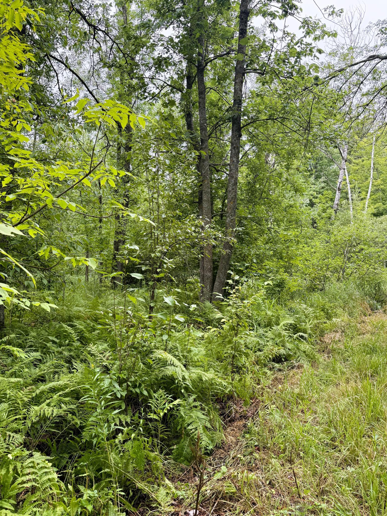 5080 Tower Road Moose Lake, MN 55767 - Photo 41 of 49 Gallery Image 41