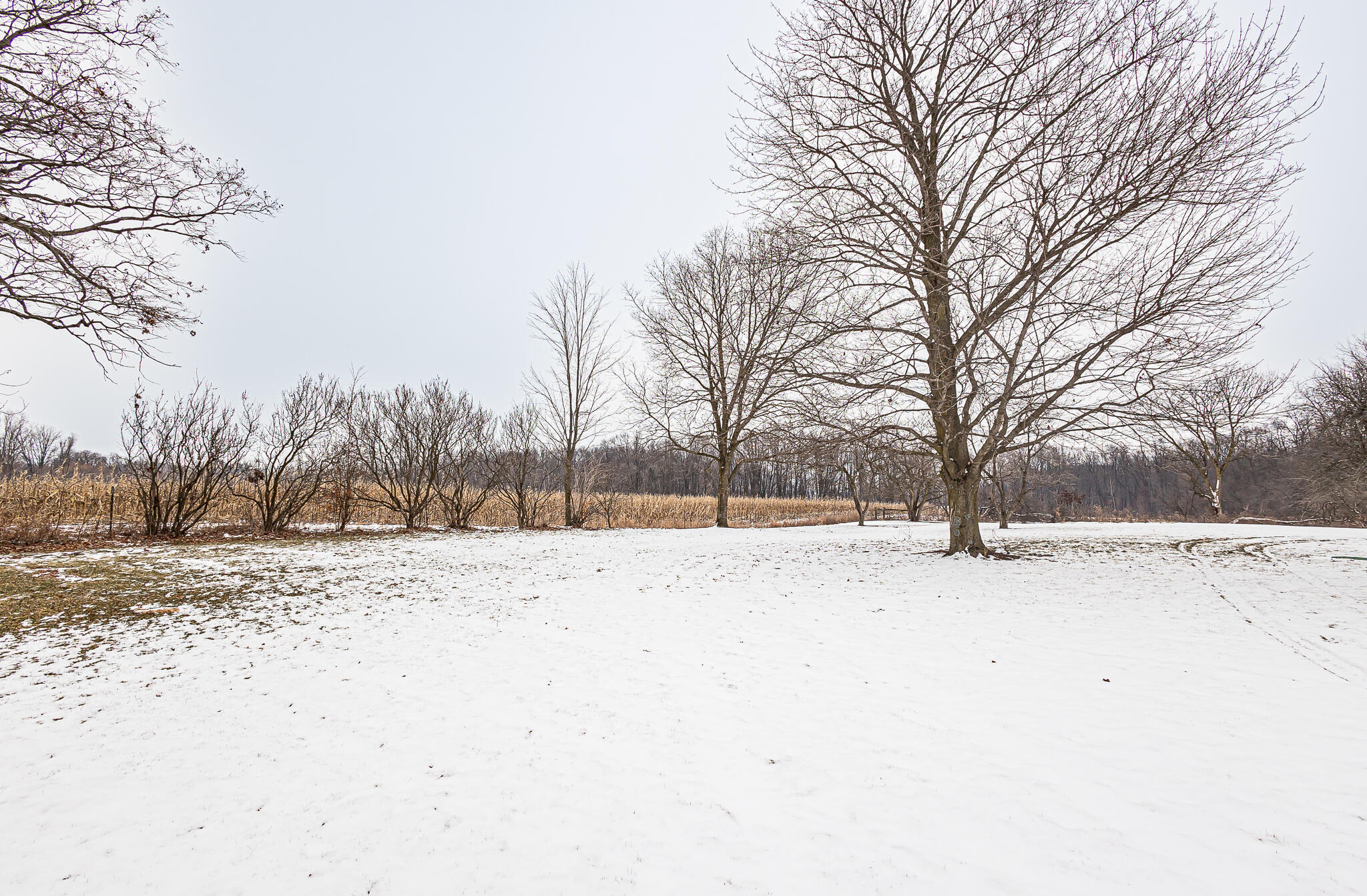 835 South Ray Quincy Road Montgomery, MI 49255 - Photo 4 of 54 781A9622