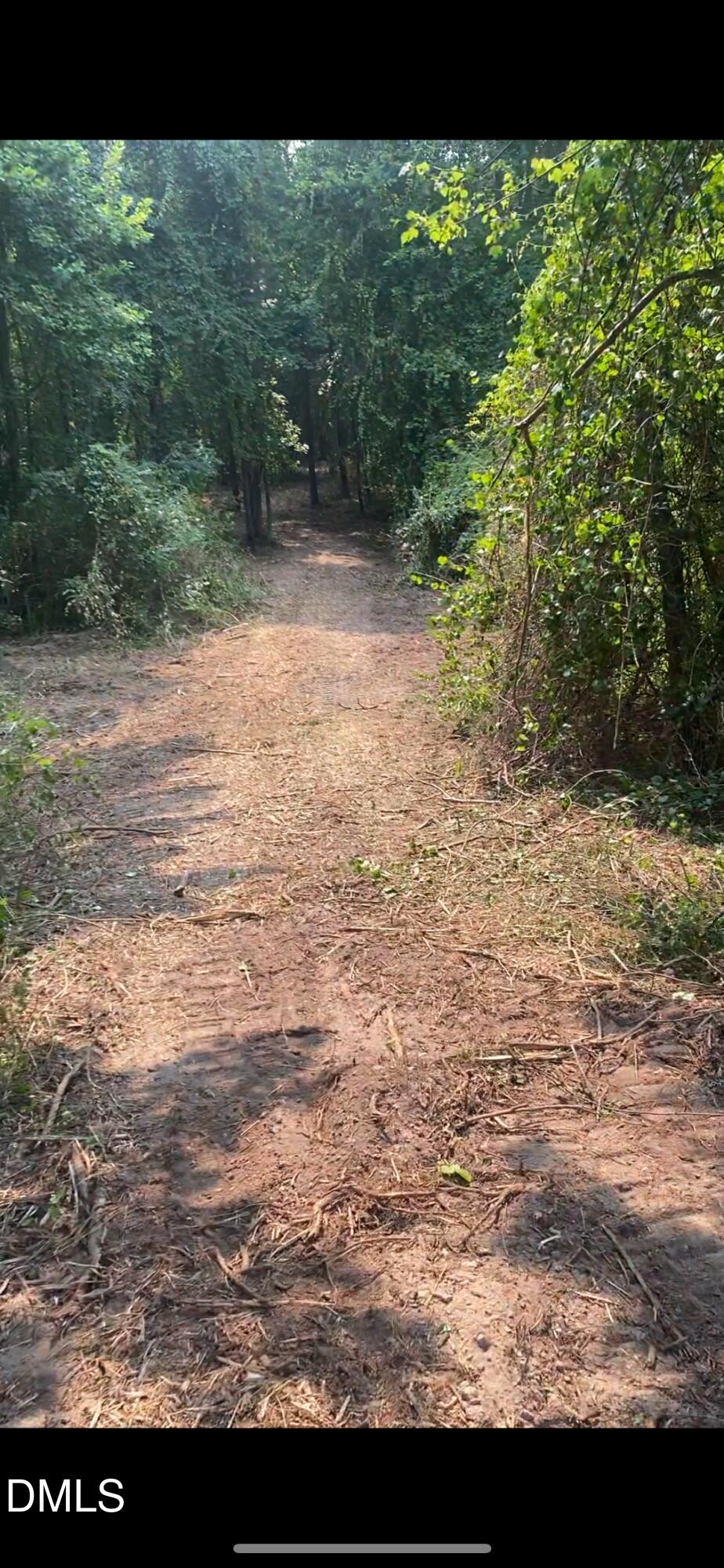 0 Rock Quarry Road Bailey, NC 27807 - Photo 2 of 2 IMG_6785 (3)