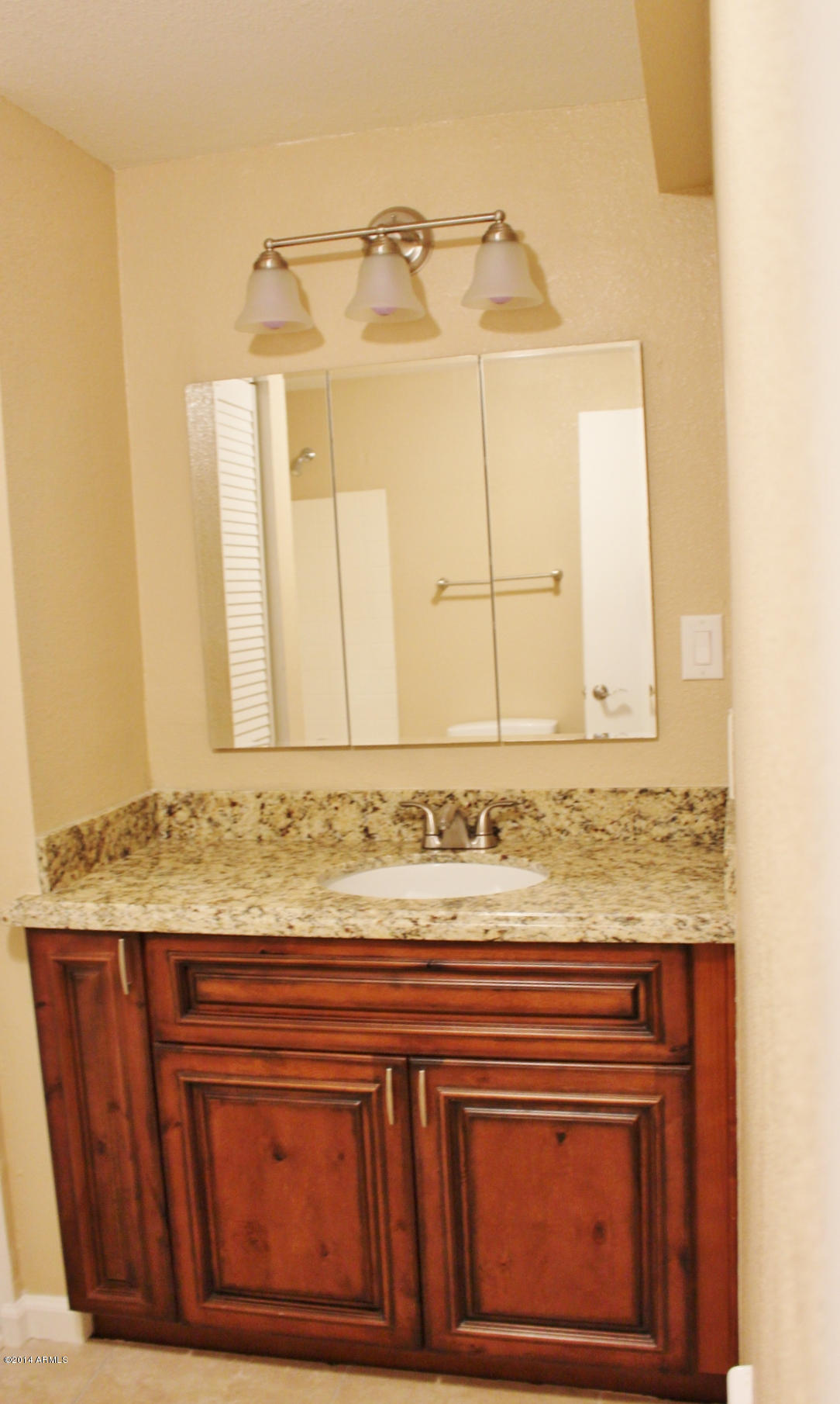 650 North Signal Butte Road Mesa, AZ 85207 - Photo 28 of 45 BATHROOM SINK