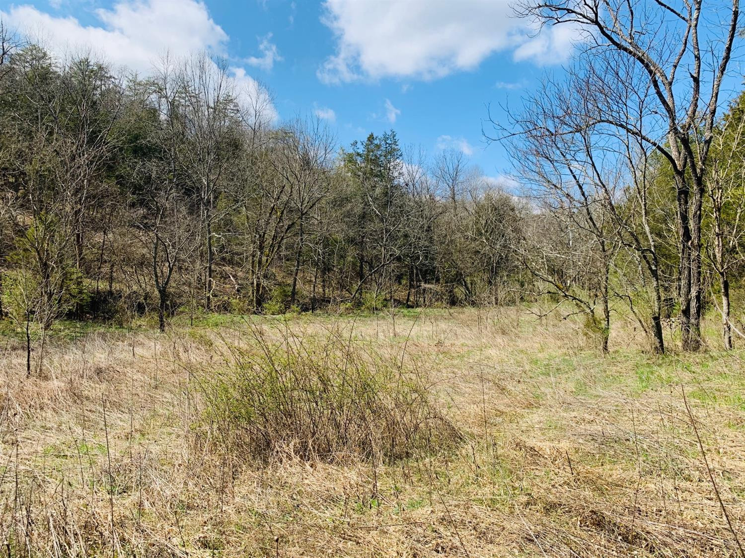 1091 Log Lick Road Winchester, KY 40391 - Photo 18 of 18 Photo 18