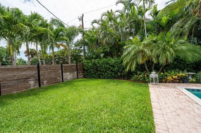 a view of a backyard with a tree