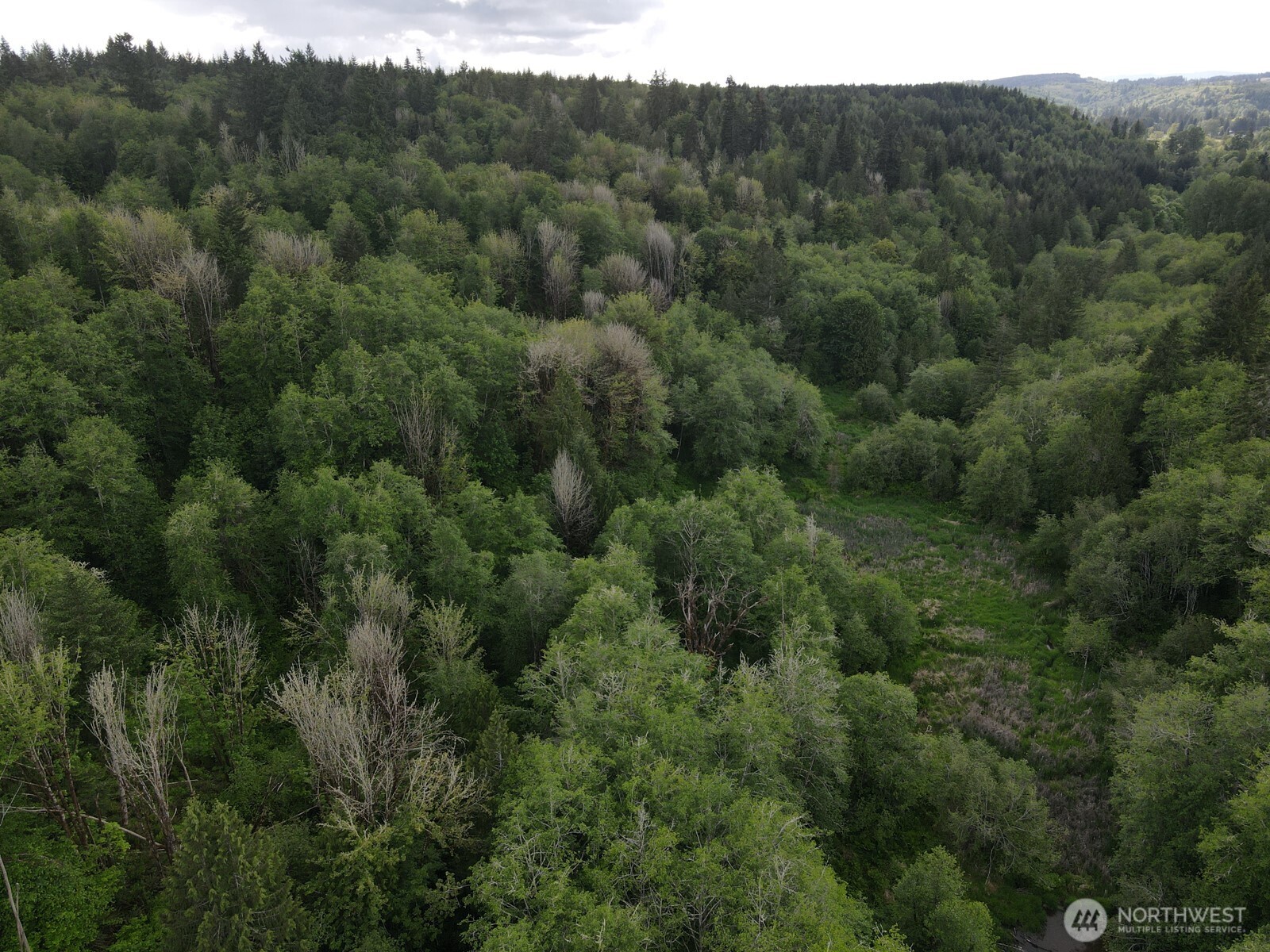 0 Halliday Road Centralia, WA 98531 - Photo 23 of 38 Gallery Image 23
