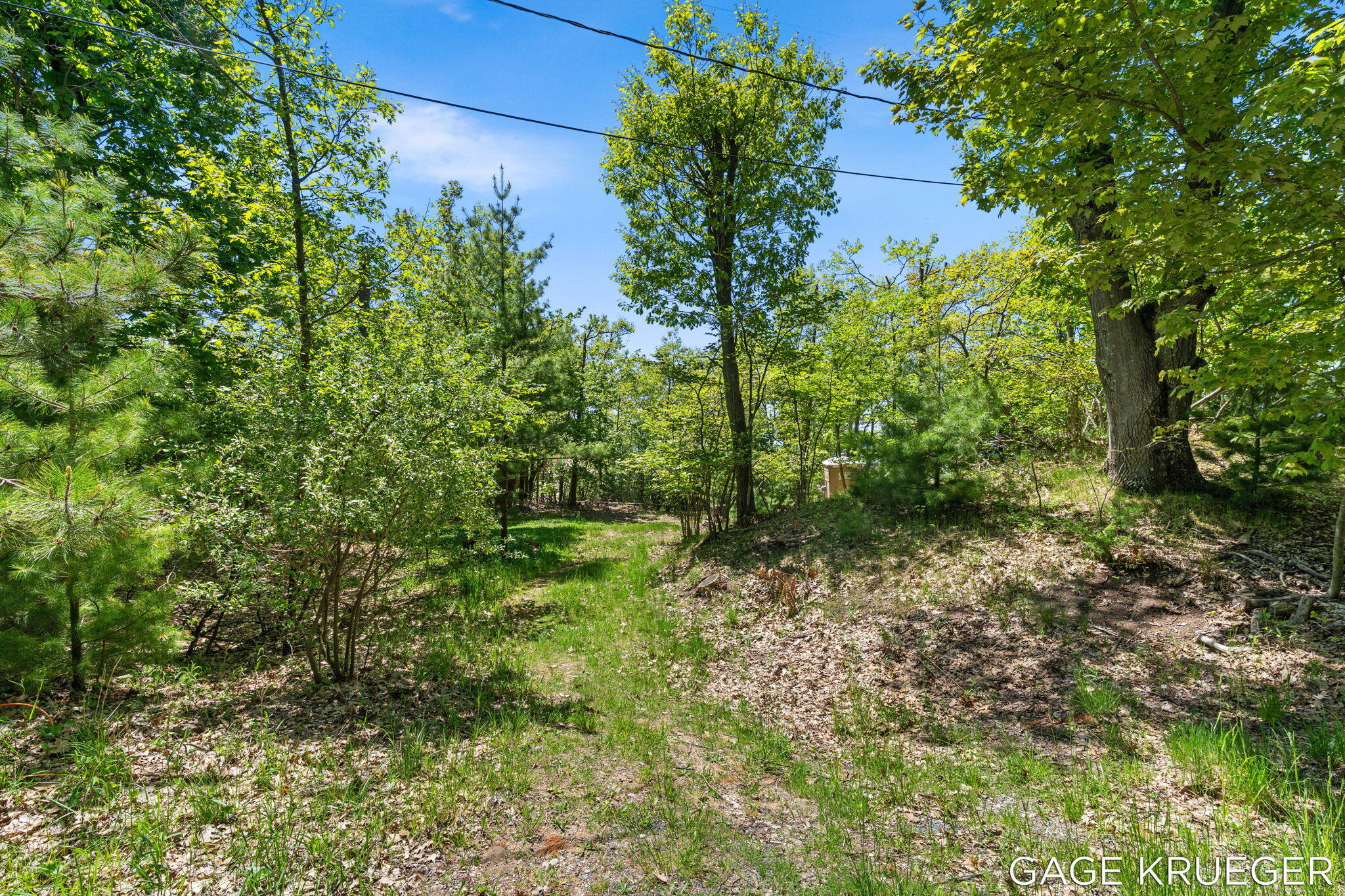 V/l West Thomas Road Shelby, MI 49455 - Photo 9 of 27 9-web-or-mls-DSC01608