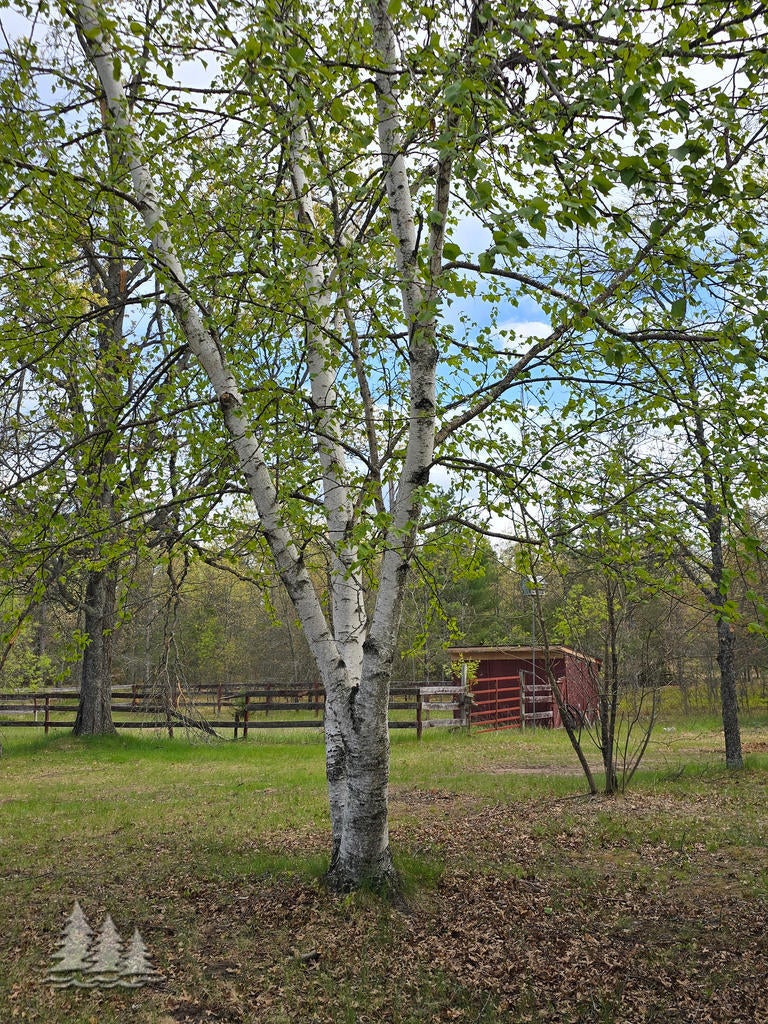 3557 Penn Road Lewiston, MI 49756 - Photo 45 of 58 Gallery Image 45