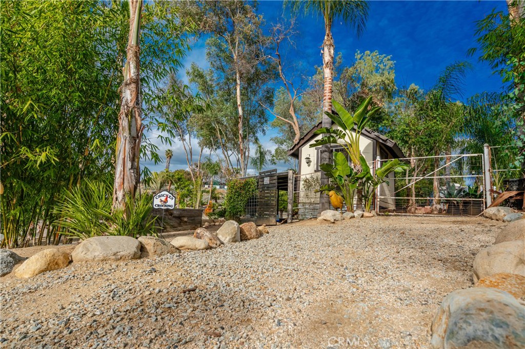 20950 Claire Road Perris, CA 92570 - Photo 12 of 74 a backyard of a house with plants and trees