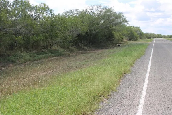 a view of a yard with large trees