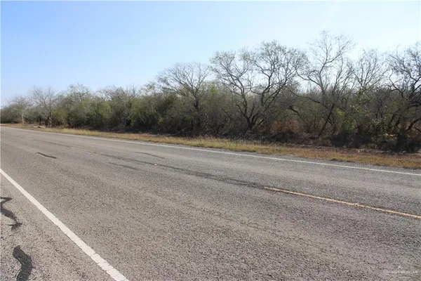 a view of a yard with large trees