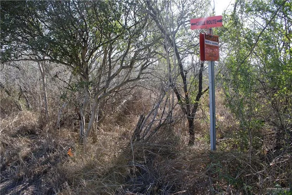 a view of a dry yard with trees