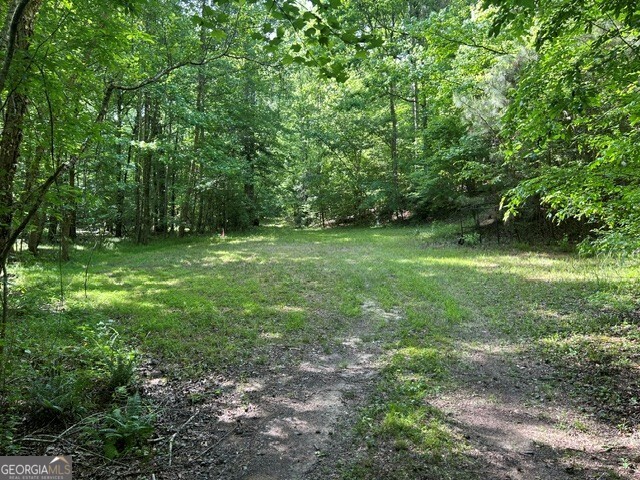 3640 Bullock Bridge Road Loganville, GA 30052 - Photo 27 of 54 Gallery Image 27