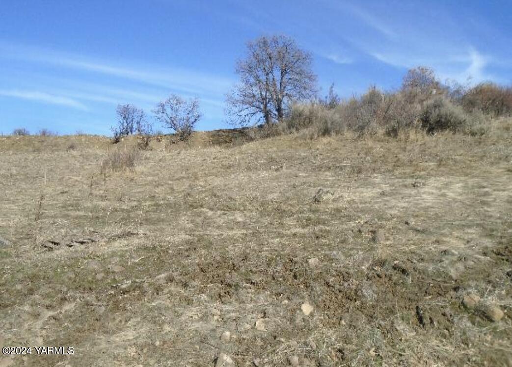 Nka Nka Fork Road North, Unit LOT #3 Yakima, WA 98903 - Photo 1 of 2 a view of a field with trees in the background