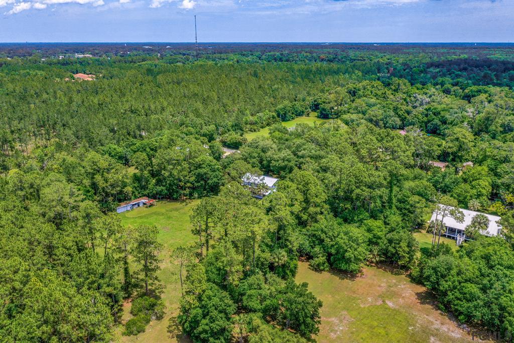a view of a lush green outdoor space