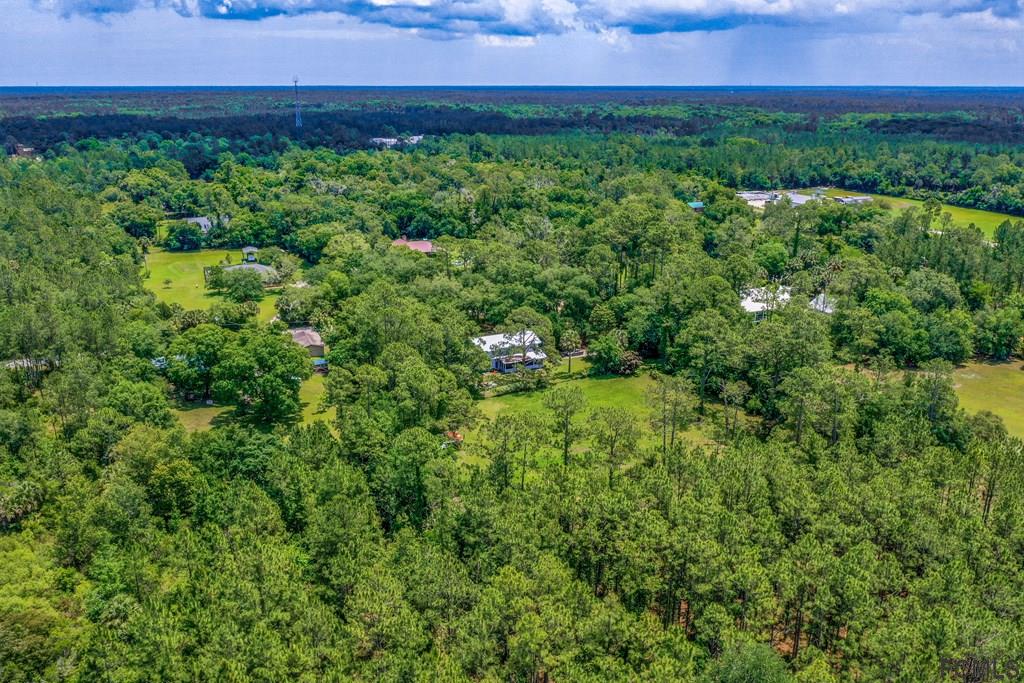 Xxxx Old Haw Creek Road Bunnell, FL 32110 - Photo 4 of 5 a view of a lush green space
