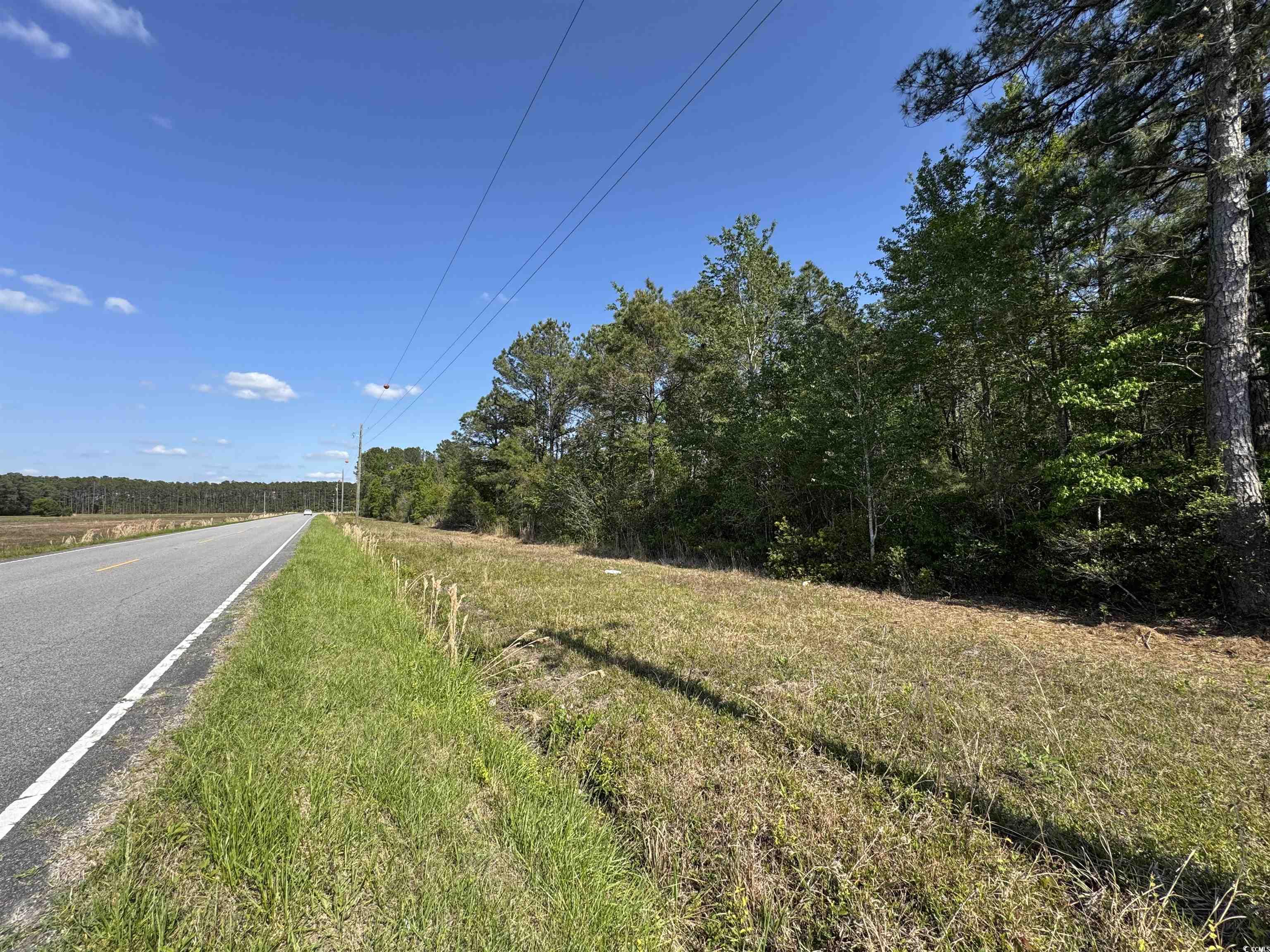 Tbd Airport Road Loris, SC 29569 - Photo 5 of 5 View of road