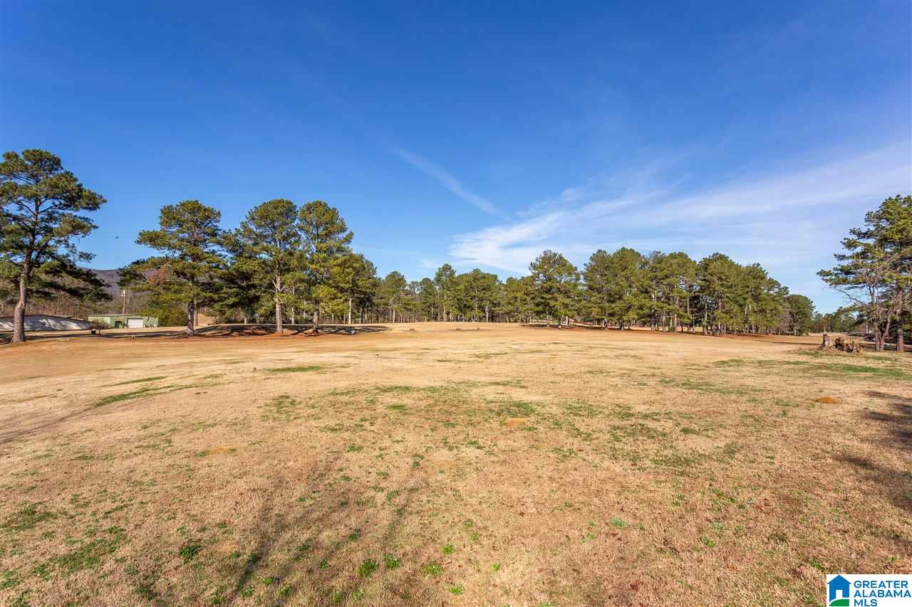 131 Choccolocco Road, Unit 1 & 1A Anniston, AL 36207 - Photo 4 of 11
