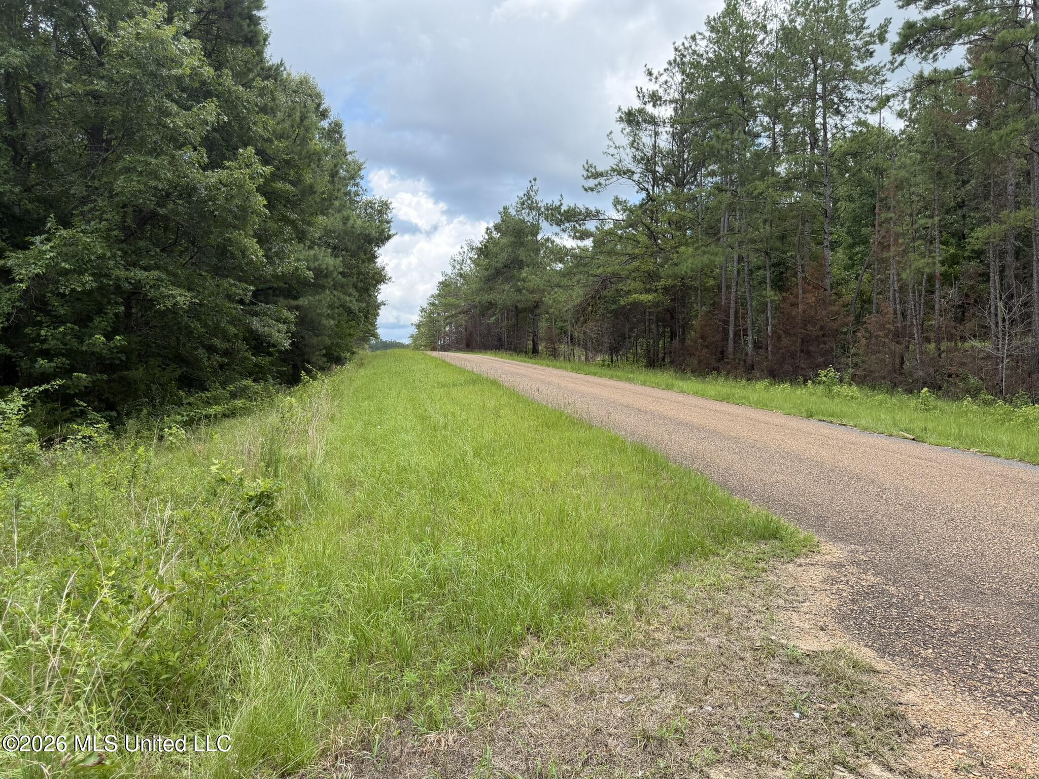4267 Race Track Road West, MS 39192 - Photo 57 of 57 IMG_1312