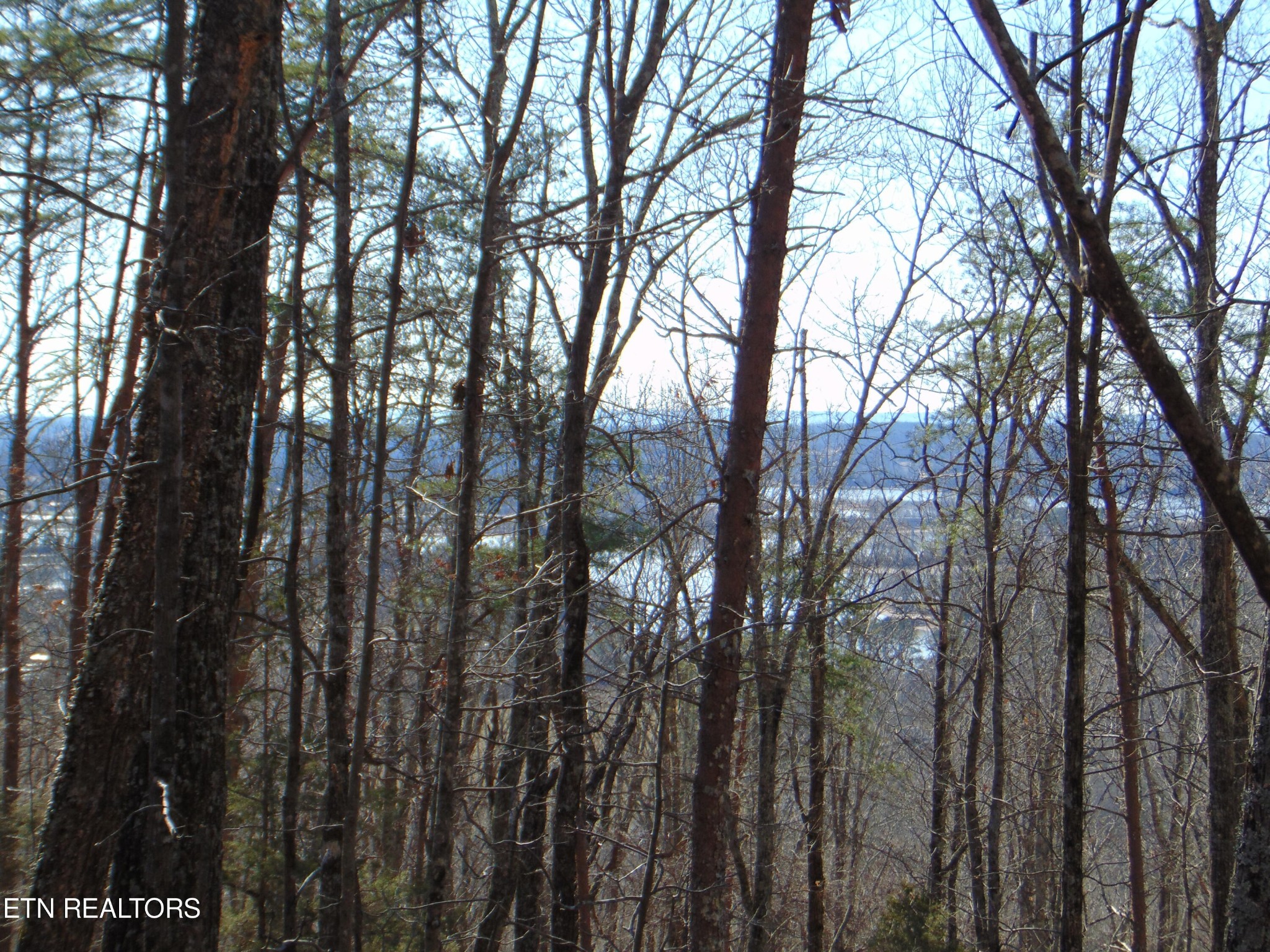 5866 Cuno Lane Decatur, TN 37322 - Photo 19 of 54