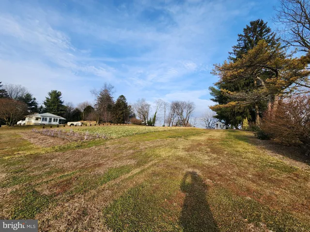 a view of yard with tree and car parked