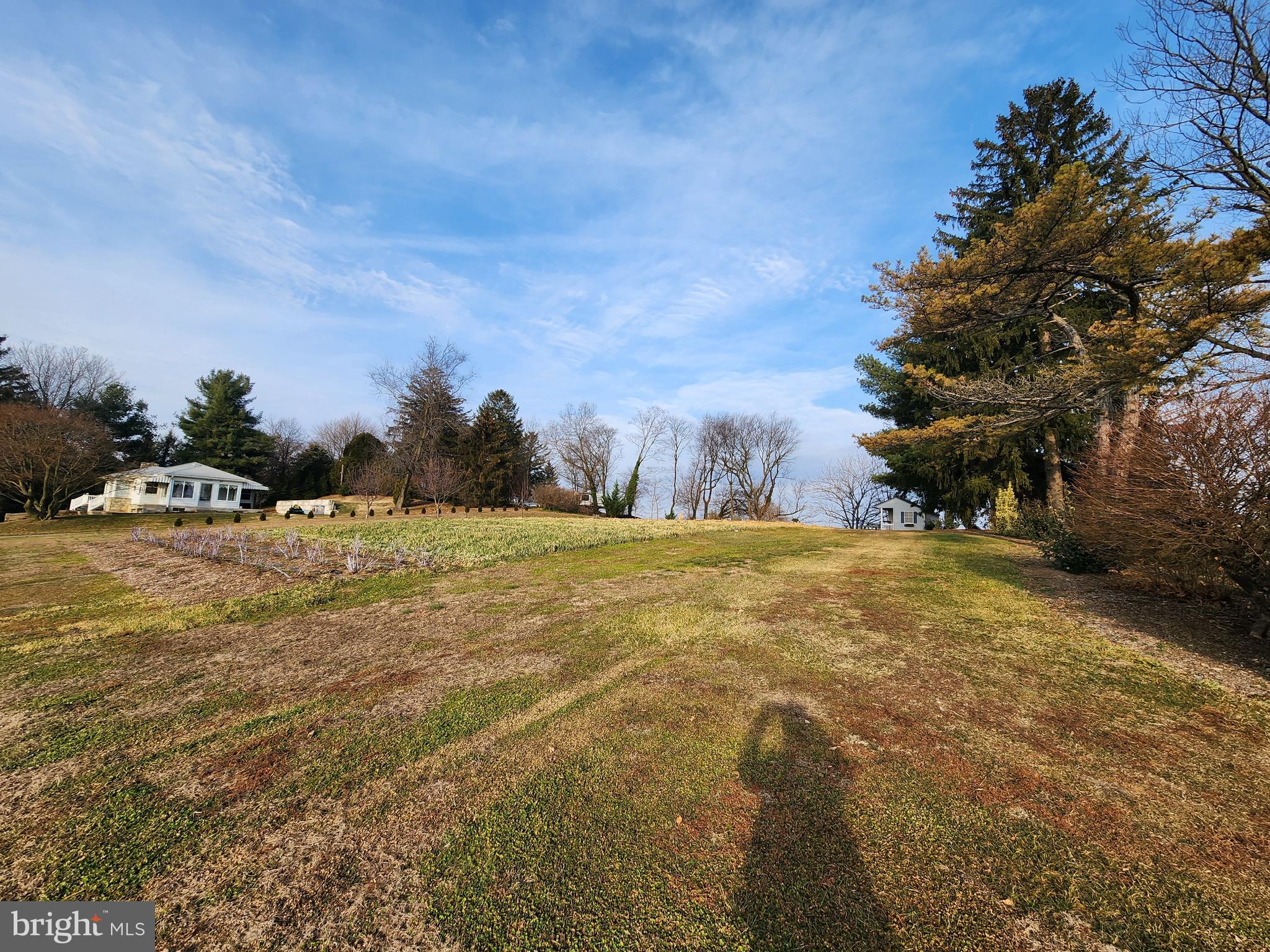 2361 Leabrook Road Lancaster, PA 17601 - Photo 1 of 5 a view of yard with tree and car parked
