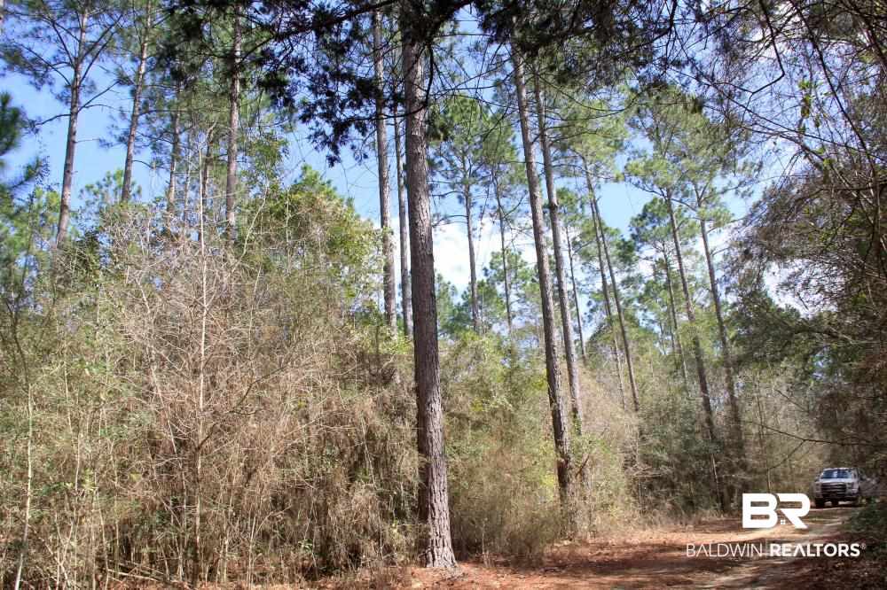 0 County Road 49 Loxley, AL 36551 - Photo 10 of 33
