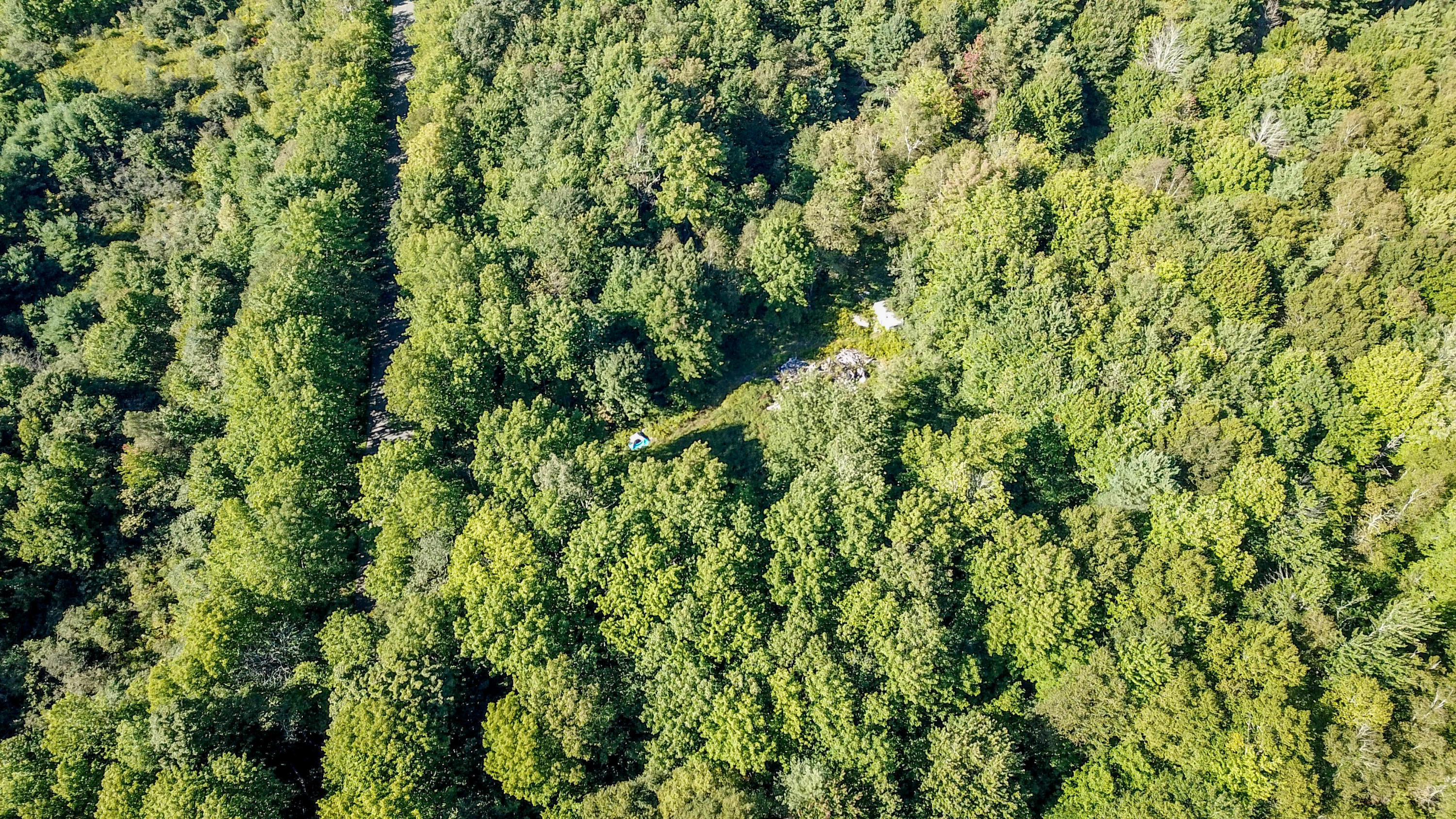 Lot 24 Green Valley Road Stockton Springs, ME 04981 - Photo 29 of 31 Overlooking Homestead