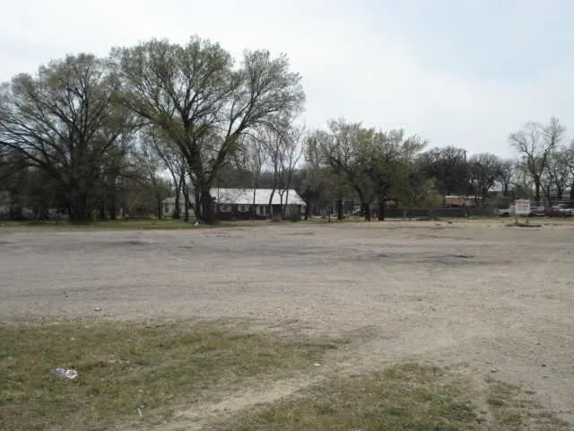 a street view with large trees