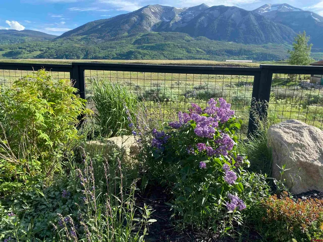 a view of outdoor from window