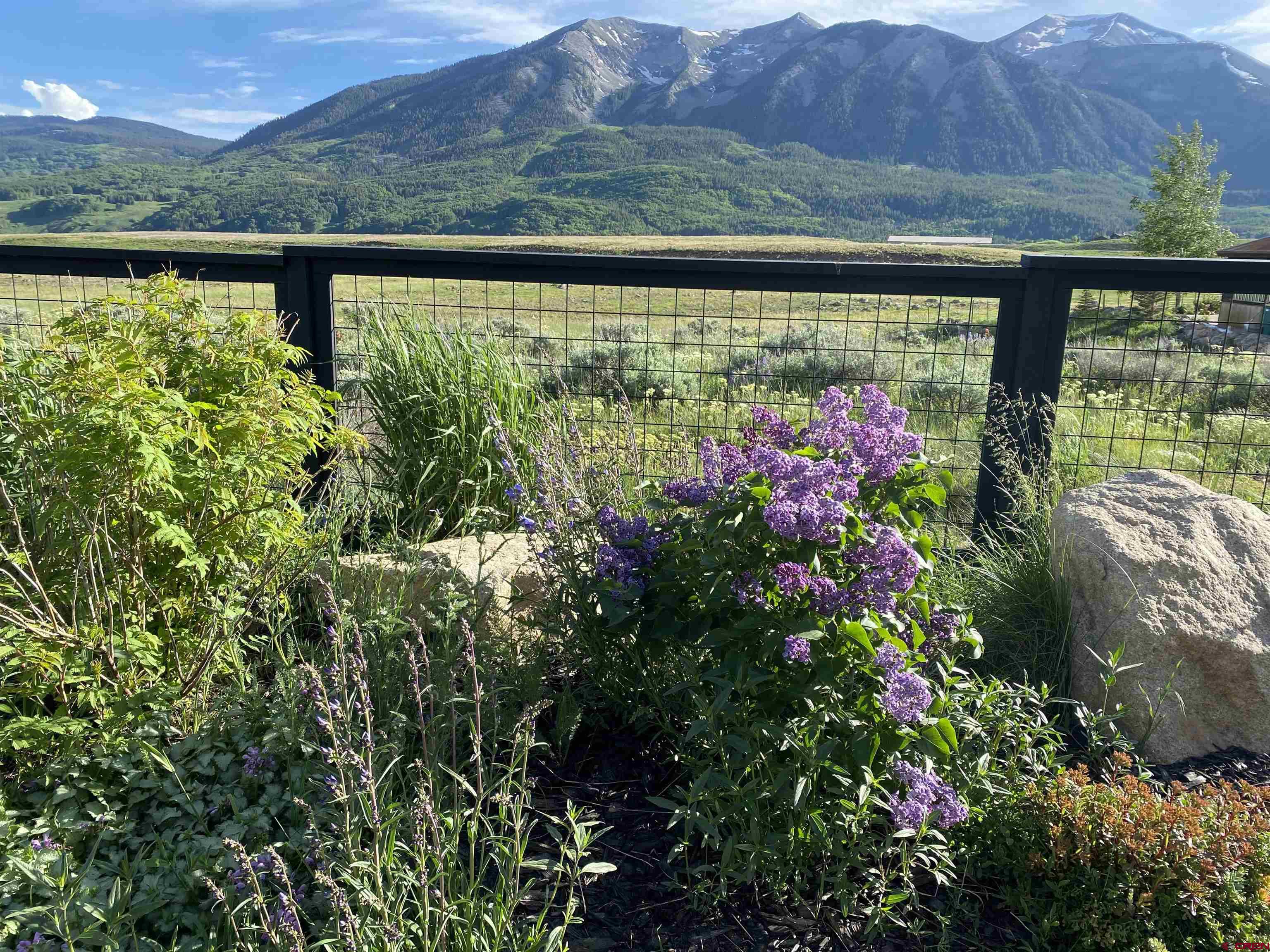 96 Chestnut Lane Crested Butte, CO 81224 - Photo 22 of 37 a view of outdoor from window