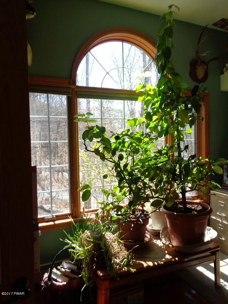 233 Springbrook Road Shohola, PA 18458 - Photo 33 of 54 31 Lots of Light