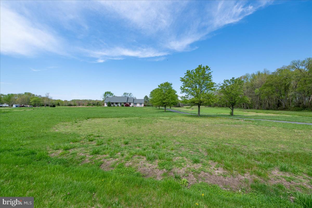 407 Gallo Road Harrington, DE 19952 - Photo 28 of 30 Gallery Image 28