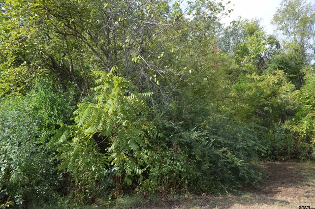 $165,000 | 507 North Van Buren Street, Henderson, TX 75652