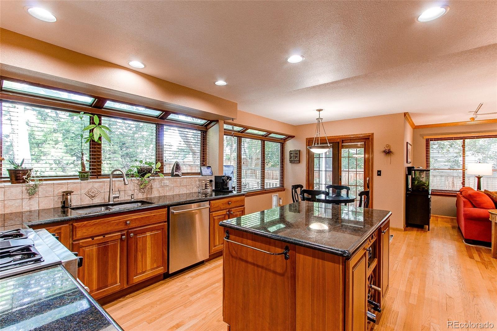 9915 Spring Hill Street Highlands Ranch, CO 80129 - Photo 8 of 35 Gallery Image 8