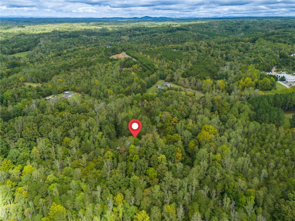 160 Ridge Top Lane Stoneville, NC 27048 - Photo 45 of 49 Gallery Image 45