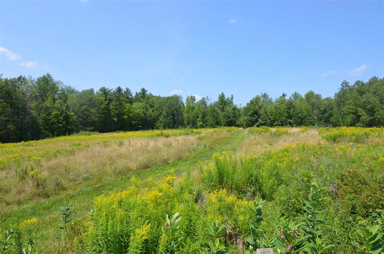 479 Center Road Goshen, NH 03752 - Photo 16 of 22 Gallery Image 16