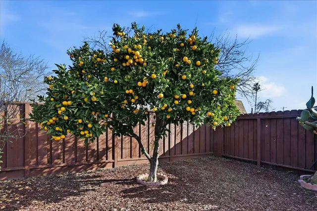 $1,090,000 | 6328 Zulmida Avenue, Newark, CA 94560