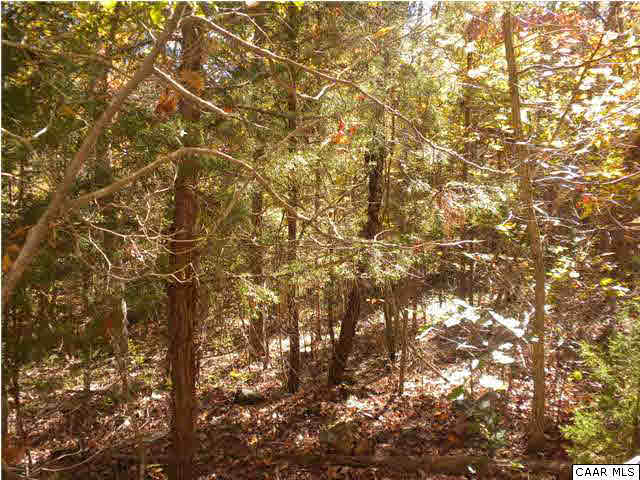 13 Glade Road Shipman, VA 22971 - Photo 2 of 3 a picture of tree