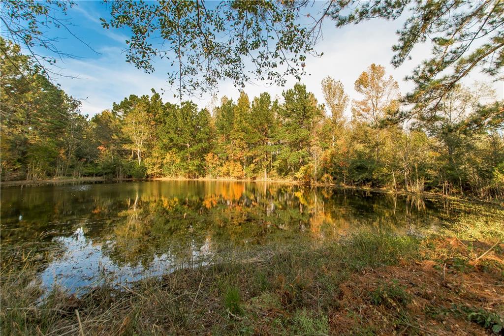 74403 South Dykes Road Kentwood, LA 70444 - Photo 36 of 40