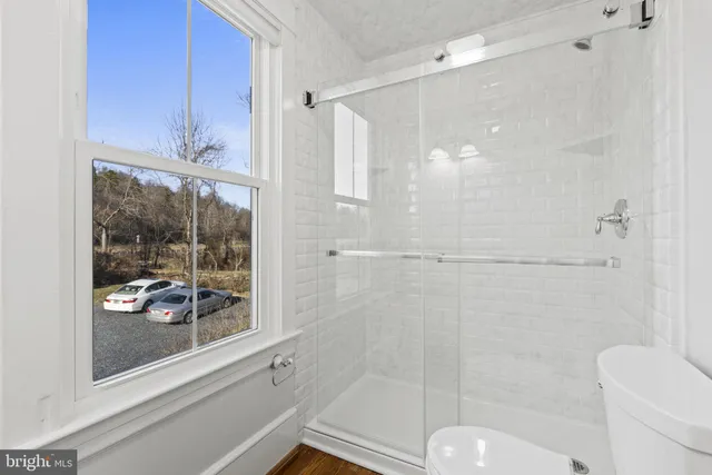 a bathroom with a shower and toilet