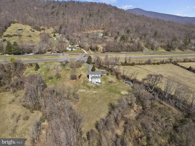a view of a dry yard with trees