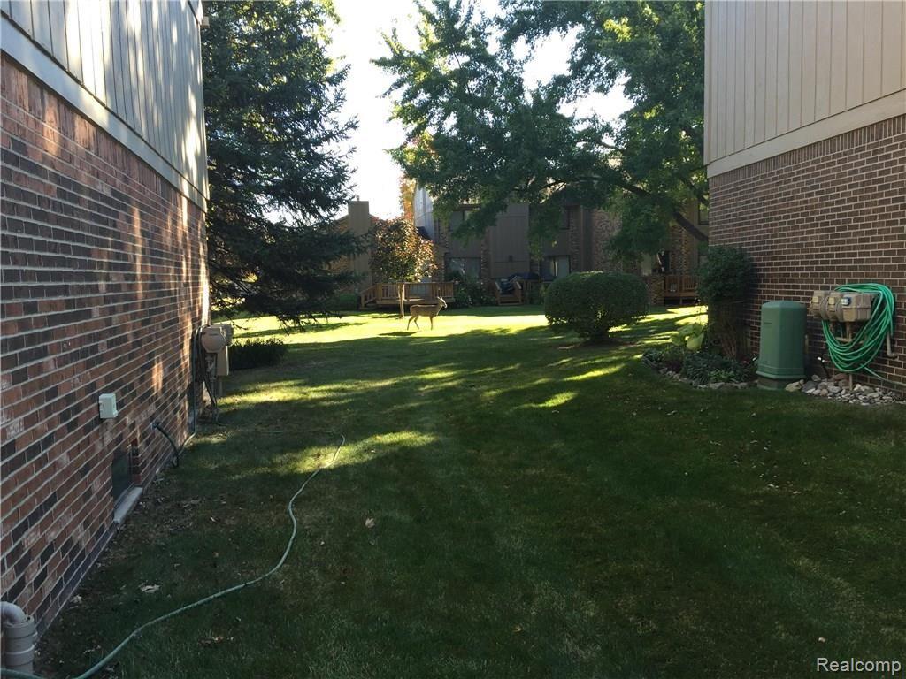 1875 Allenway Court, Unit 93 Rochester, MI 48309 - Photo 19 of 19 deer.jpg
