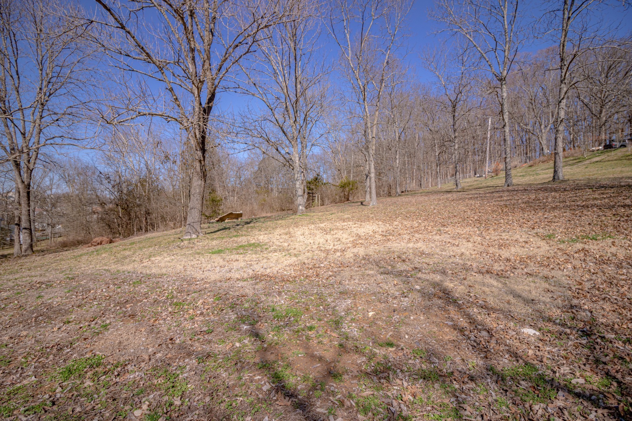 6656 Holt Road Nashville, TN 37211 - Photo 20 of 22 Gallery Image 20