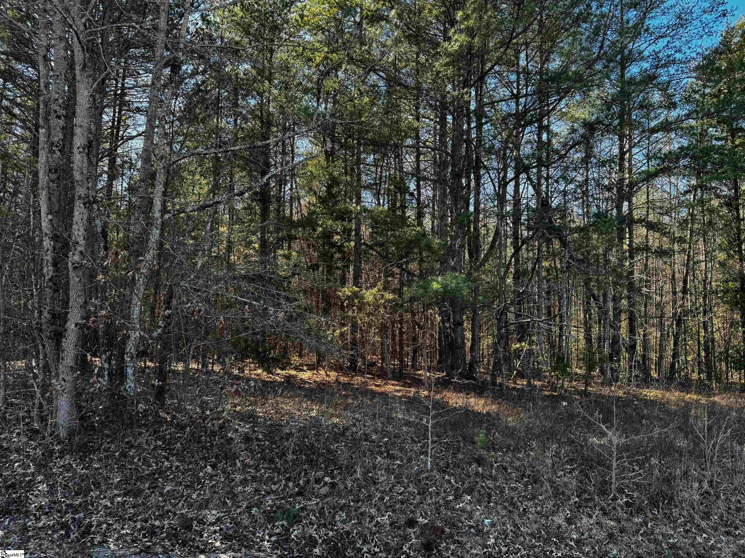 0 Corner Road Belton, SC 29627 - Photo 1 of 3