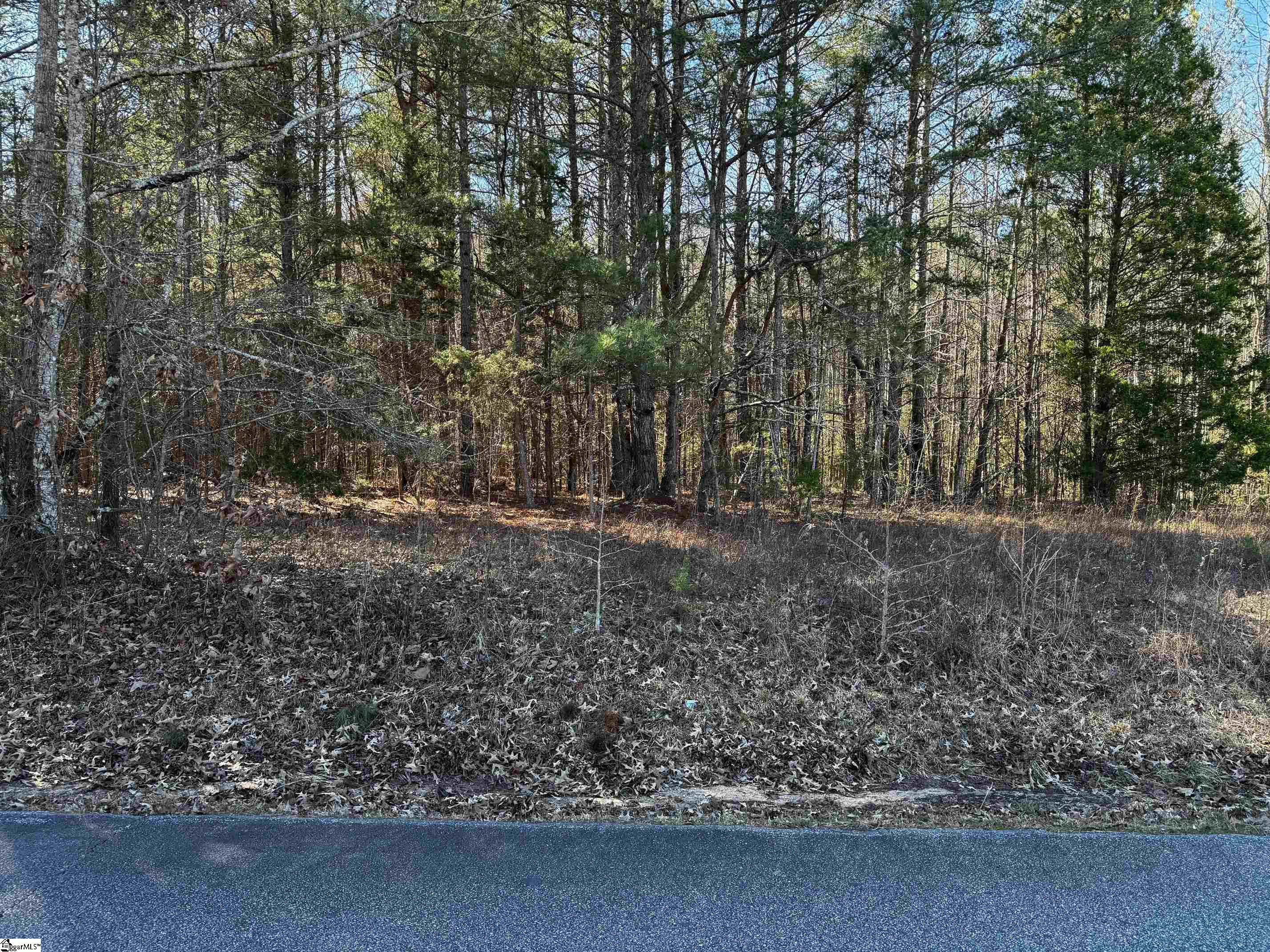 0 Corner Road Belton, SC 29627 - Photo 2 of 3