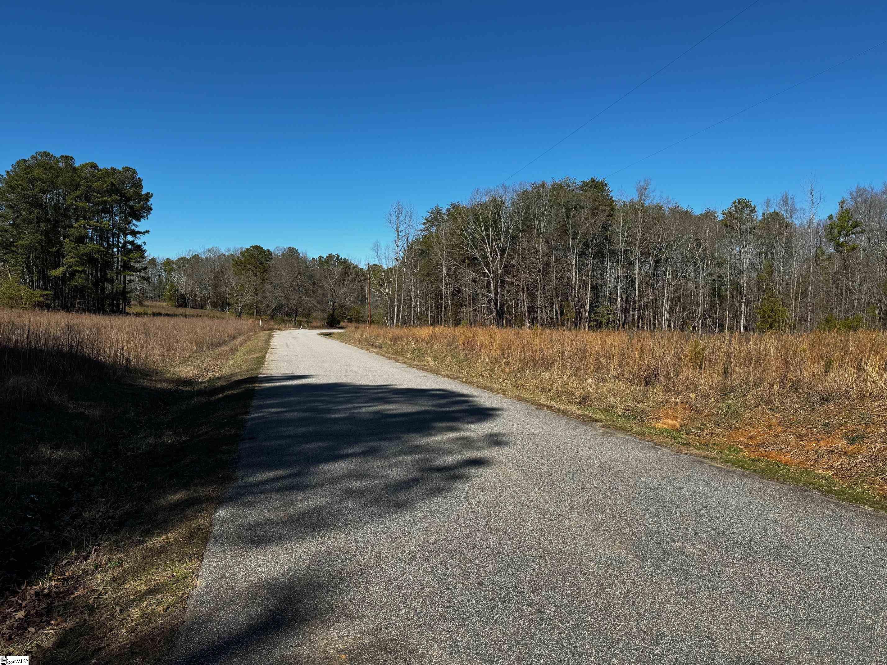 0 Corner Road Belton, SC 29627 - Photo 3 of 3