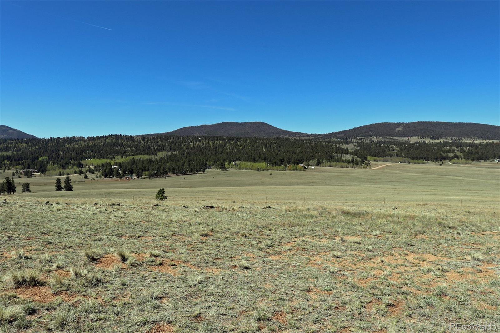 807 Wagon Wheel Road Hartsel, CO 80449 - Photo 8 of 11 Gallery Image 8