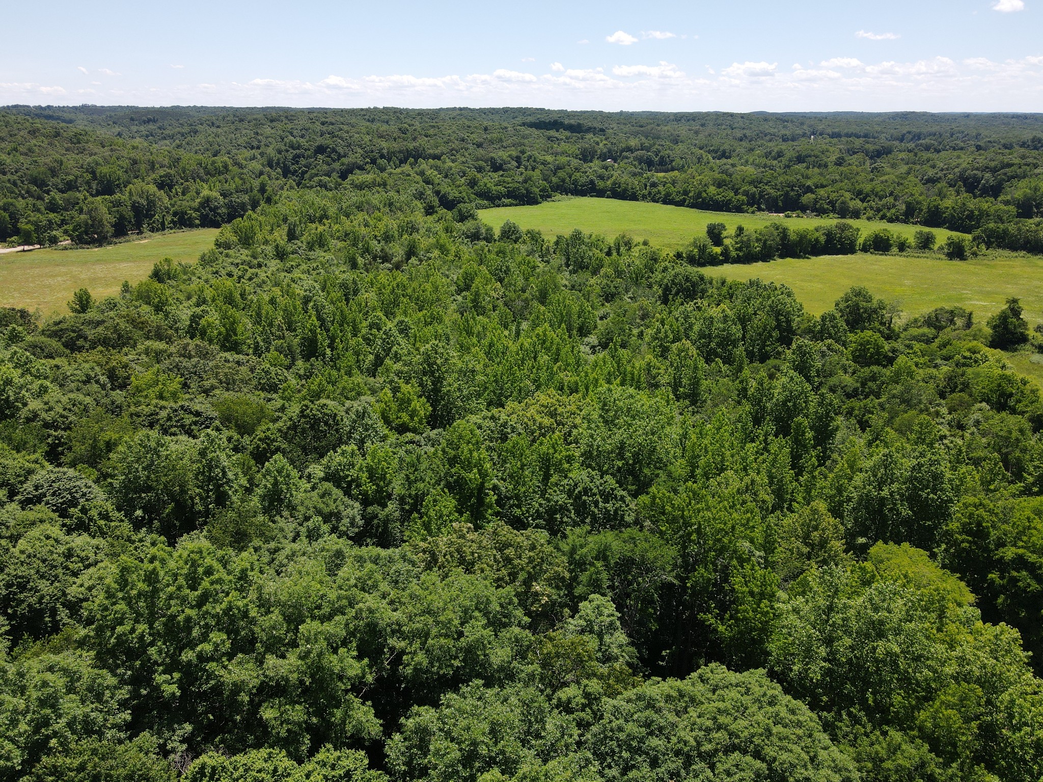 0 Sid Summers Road Stewart, TN 37175 - Photo 4 of 10 an aerial view of green landscape with trees houses and lake view