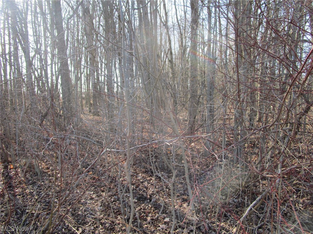1 Middle Road Pierpont, OH 44082 - Photo 14 of 14